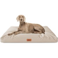 Knuffelwuff Hundekissen Gatsby aus Oxford-Gewebe beige XXL Knuffelwuff Hundekissen Gatsby aus Oxford-Gewebe beige XXL von Knuffelwuff