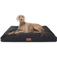 Knuffelwuff Hundekissen Gatsby aus Oxford-Gewebe schwarz M-L Knuffelwuff Hundekissen Gatsby aus Oxford-Gewebe schwarz M-L von Knuffelwuff