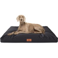 Knuffelwuff Hundekissen Gatsby aus Oxford-Gewebe schwarz XL von Knuffelwuff