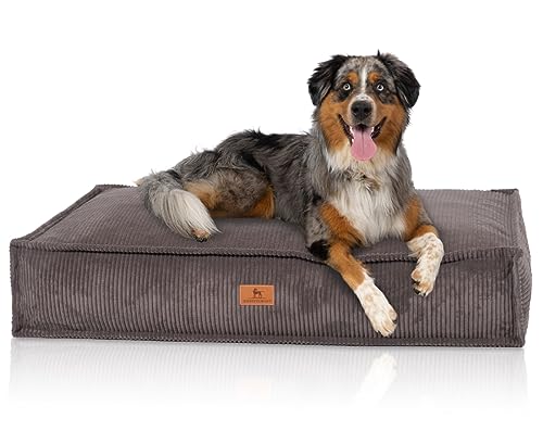 Knuffelwuff Hundekissen Lesedi aus Cord mit Handwebcharakter 100x70cm Braungrau - Abnehmbarer Bezug - waschbar - für große, mittelgroße und kleine Hunde Knuffelwuff Hundekissen Lesedi aus Cord mit Handwebcharakter 100x70cm Braungrau - Abnehmbarer Bezug - waschbar - für große, mittelgroße und kleine Hunde von Knuffelwuff