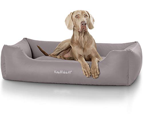 Knuffelwuff Kunstleder Hundebett Sidney XXL 120 x 85cm Grau - abnehmbarer Bezug - leicht zu reinigen - für große, mittelgroße und kleine Hunde Knuffelwuff Kunstleder Hundebett Sidney XXL 120 x 85cm Grau - abnehmbarer Bezug - leicht zu reinigen - für große, mittelgroße und kleine Hunde von Knuffelwuff