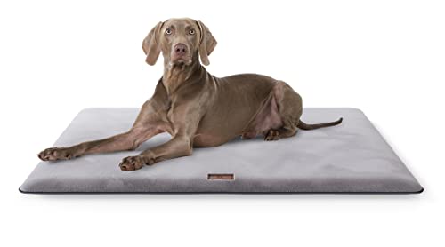 Knuffelwuff Kuschelige Hundematte Sunport aus weichem Fellimitat 120x80cm - Hundekissen für große, mittelgroße und kleine Hunde - Für Zuhause, Auto, Wohnmobil, Wohnwagen von Knuffelwuff