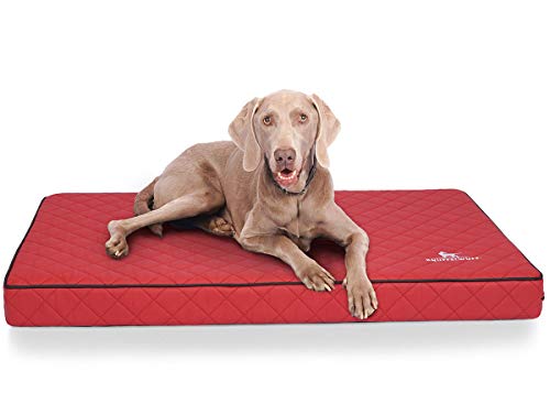 Knuffelwuff Orthopädische Hundematte Juna Hundebett aus laser gestepptem Kunstleder waschbar Hunde ortho orthopädisch memory 78x65cm Rot Knuffelwuff Orthopädische Hundematte Juna Hundebett aus laser gestepptem Kunstleder waschbar Hunde ortho orthopädisch memory 78x65cm Rot von Knuffelwuff