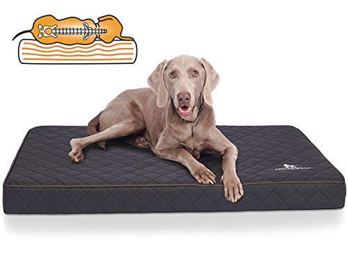 Knuffelwuff Orthopädische Hundematte Juna Hundebett aus laser gestepptem Kunstleder waschbar Hunde ortho orthopädisch memory XXL 110x66cm Schwarz Knuffelwuff Orthopädische Hundematte Juna Hundebett aus laser gestepptem Kunstleder waschbar Hunde ortho orthopädisch memory XXL 110x66cm Schwarz von Knuffelwuff