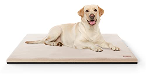 Knuffelwuff Orthopädische kuschelige Hundematte Berrith aus weichem Kaninchenfell-Imitat 80x55cm Beige - Hundekissen für große, mittelgroße und kleine Hunde - Für Zuhause, Auto, Wohnmobil, Wohnwagen Knuffelwuff Orthopädische kuschelige Hundematte Berrith aus weichem Kaninchenfell-Imitat 80x55cm Beige - Hundekissen für große, mittelgroße und kleine Hunde - Für Zuhause, Auto, Wohnmobil, Wohnwagen von Knuffelwuff