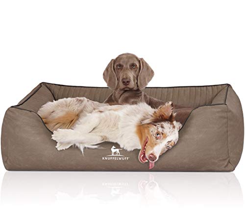 Knuffelwuff Orthopädisches Hundebett Columbia aus Laser-gestepptem Kunstleder XL 105 x 75cm Stone - Abnehmbarer Bezug - leicht zu reinigen - für große, mittelgroße und kleine Hunde Knuffelwuff Orthopädisches Hundebett Columbia aus Laser-gestepptem Kunstleder XL 105 x 75cm Stone - Abnehmbarer Bezug - leicht zu reinigen - für große, mittelgroße und kleine Hunde von Knuffelwuff