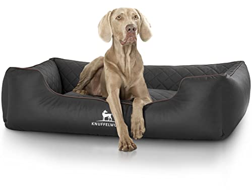 Knuffelwuff Orthopädisches Hundebett Madison aus laser-gestepptem Kunstleder Übergröße XXXL 155cm x 105cm Schwarz - abnehmbarer Bezug - leicht zu reinigen - für große, mittelgroße und kleine Hunde Knuffelwuff Orthopädisches Hundebett Madison aus laser-gestepptem Kunstleder Übergröße XXXL 155cm x 105cm Schwarz - abnehmbarer Bezug - leicht zu reinigen - für große, mittelgroße und kleine Hunde von Knuffelwuff