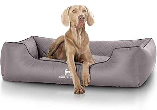 Knuffelwuff Orthopädisches Hundebett Madison aus laser-gestepptem Kunstleder XXL 120 x 85cm Grau - abnehmbarer Bezug - leicht zu reinigen - für große, mittelgroße und kleine Hunde Knuffelwuff Orthopädisches Hundebett Madison aus laser-gestepptem Kunstleder XXL 120 x 85cm Grau - abnehmbarer Bezug - leicht zu reinigen - für große, mittelgroße und kleine Hunde von Knuffelwuff