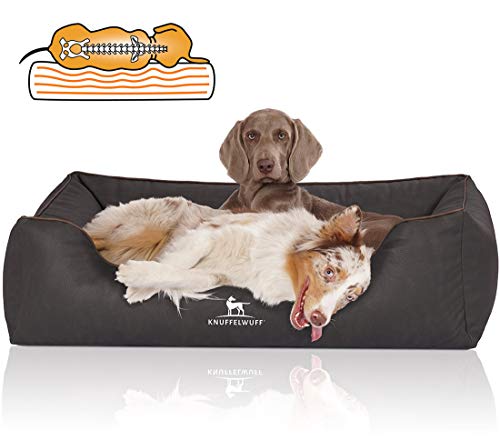 Knuffelwuff Orthopädisches Hundebett Rockland aus Kunstleder XL 105 x 75cm Schwarz - abnehmbarer Bezug - leicht zu reinigen - für große, mittelgroße und kleine Hunde Knuffelwuff Orthopädisches Hundebett Rockland aus Kunstleder XL 105 x 75cm Schwarz - abnehmbarer Bezug - leicht zu reinigen - für große, mittelgroße und kleine Hunde von Knuffelwuff
