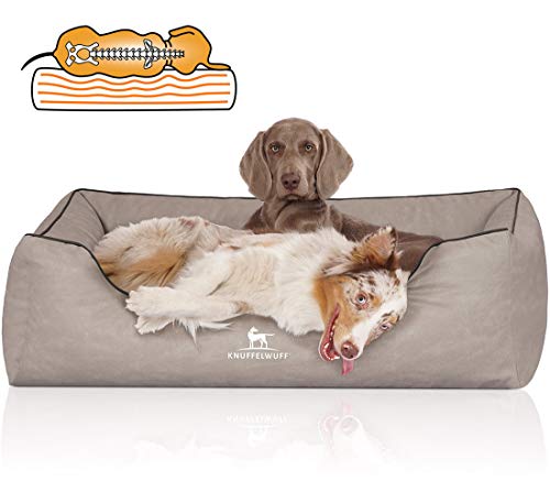 Knuffelwuff Orthopädisches Hundebett Rockland aus Kunstleder XXL 120 x 85cm Hellgrau - abnehmbarer Bezug - leicht zu reinigen - für große, mittelgroße und kleine Hunde Knuffelwuff Orthopädisches Hundebett Rockland aus Kunstleder XXL 120 x 85cm Hellgrau - abnehmbarer Bezug - leicht zu reinigen - für große, mittelgroße und kleine Hunde von Knuffelwuff
