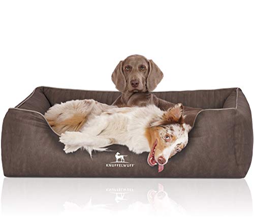 Knuffelwuff Orthopädisches Hundebett Tampa aus laser-gestepptem Kunstleder XXL 120 x 85cm Braungrau Knuffelwuff Orthopädisches Hundebett Tampa aus laser-gestepptem Kunstleder XXL 120 x 85cm Braungrau von Knuffelwuff