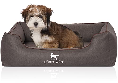 Knuffelwuff Orthopädisches Hundebett Wippo aus Velours mit Handwebcharakter M-L 85 x 63cm Schwarz - abnehmbarer Bezug - waschbar - für große, mittelgroße und kleine Hunde Knuffelwuff Orthopädisches Hundebett Wippo aus Velours mit Handwebcharakter M-L 85 x 63cm Schwarz - abnehmbarer Bezug - waschbar - für große, mittelgroße und kleine Hunde von Knuffelwuff