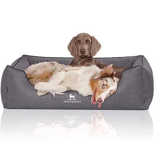 Knuffelwuff Orthopädisches Hundebett Wippo aus Velours mit Handwebcharakter XL 105 x 75cm Graublau - abnehmbarer Bezug - waschbar - für große, mittelgroße und kleine Hunde Knuffelwuff Orthopädisches Hundebett Wippo aus Velours mit Handwebcharakter XL 105 x 75cm Graublau - abnehmbarer Bezug - waschbar - für große, mittelgroße und kleine Hunde von Knuffelwuff