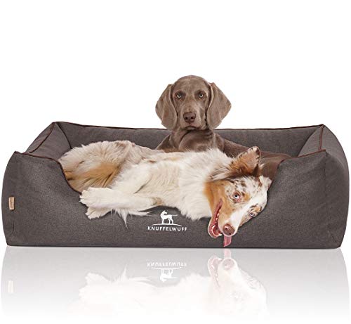 Knuffelwuff Orthopädisches Hundebett Wippo aus Velours mit Handwebcharakter XXL 120 x 85cm Schwarz - abnehmbarer Bezug - waschbar - für große, mittelgroße und kleine Hunde Knuffelwuff Orthopädisches Hundebett Wippo aus Velours mit Handwebcharakter XXL 120 x 85cm Schwarz - abnehmbarer Bezug - waschbar - für große, mittelgroße und kleine Hunde von Knuffelwuff