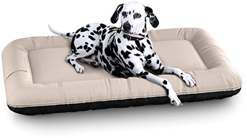 Knuffelwuff Wasserfestes In und Outdoor Hundebett Lucky Color Edition aus Nylongewebe XL 100 x 73cm Beige - abnehmbarer Bezug - waschbar - für große, mittelgroße und kleine Hunde Knuffelwuff Wasserfestes In und Outdoor Hundebett Lucky Color Edition aus Nylongewebe XL 100 x 73cm Beige - abnehmbarer Bezug - waschbar - für große, mittelgroße und kleine Hunde von Knuffelwuff