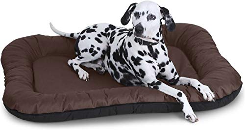 Knuffelwuff Wasserfestes In und Outdoor Hundebett Lucky aus Nylongewebe L 70 x 46cm Braun - abnehmbarer Bezug - waschbar - für große, mittelgroße und kleine Hunde Knuffelwuff Wasserfestes In und Outdoor Hundebett Lucky aus Nylongewebe L 70 x 46cm Braun - abnehmbarer Bezug - waschbar - für große, mittelgroße und kleine Hunde von Knuffelwuff