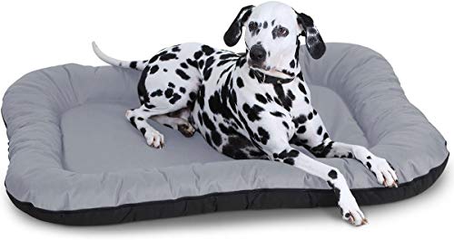 Knuffelwuff Wasserfestes In und Outdoor Hundebett Lucky aus Nylongewebe XXL 118 x 85cm Grau - abnehmbarer Bezug - waschbar - für große, mittelgroße und kleine Hunde Knuffelwuff Wasserfestes In und Outdoor Hundebett Lucky aus Nylongewebe XXL 118 x 85cm Grau - abnehmbarer Bezug - waschbar - für große, mittelgroße und kleine Hunde von Knuffelwuff
