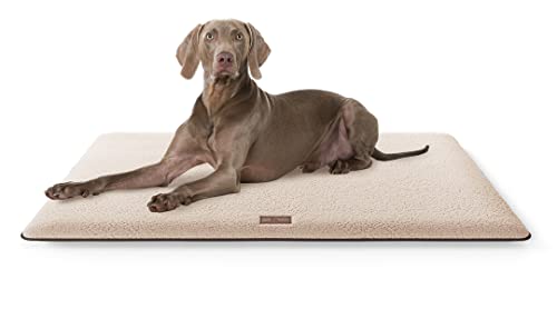 Knuffelwuff kuschelige Hundematte Calliope aus Teddy Material 100x70 Beige - Hundekissen für große, mittelgroße und kleine Hunde - Für Zuhause, Auto, Wohnmobil, Wohnwagen von Knuffelwuff