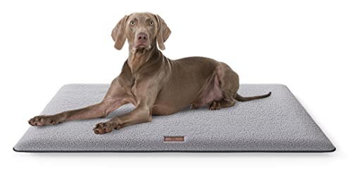 Knuffelwuff kuschelige Hundematte Calliope aus Teddy Material 100x70cm Grau - Hundekissen für große, mittelgroße und kleine Hunde - Für Zuhause, Auto, Wohnmobil, Wohnwagen Knuffelwuff kuschelige Hundematte Calliope aus Teddy Material 100x70cm Grau - Hundekissen für große, mittelgroße und kleine Hunde - Für Zuhause, Auto, Wohnmobil, Wohnwagen von Knuffelwuff