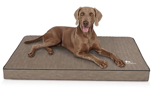 Knuffelwuff orthopädische Hundematte Palomino aus Laser-gestepptem Kunstleder L 80 x 60cm Stone - rutschfeste Unterboden - leicht zu reinigen - für große, mittelgroße und kleine Hunde von Knuffelwuff