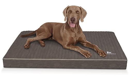 Knuffelwuff orthopädische Hundematte Palomino aus Laser-gestepptem Kunstleder XXXL 135 x 90cm Braungrau - rutschfeste Unterboden - leicht zu reinigen - für große, mittelgroße und kleine Hunde Knuffelwuff orthopädische Hundematte Palomino aus Laser-gestepptem Kunstleder XXXL 135 x 90cm Braungrau - rutschfeste Unterboden - leicht zu reinigen - für große, mittelgroße und kleine Hunde von Knuffelwuff
