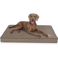 Knuffelwuff orthopädische Hundematte Palomino aus laser-gestepptem Kunstleder stone clay L Knuffelwuff orthopädische Hundematte Palomino aus laser-gestepptem Kunstleder stone clay L von Knuffelwuff