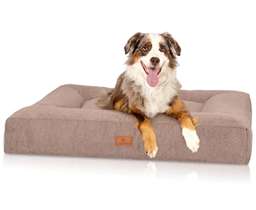 Knuffelwuff orthopädisches Hundebett aus kuscheligem Velours mit Handwebcharakter Sofia 80 x 60cm Beige - Abnehmbarer Bezug - waschbar - für große, mittelgroße und kleine Hunde Knuffelwuff orthopädisches Hundebett aus kuscheligem Velours mit Handwebcharakter Sofia 80 x 60cm Beige - Abnehmbarer Bezug - waschbar - für große, mittelgroße und kleine Hunde von Knuffelwuff