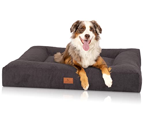 Knuffelwuff orthopädisches Hundebett aus kuscheligem Velours mit Handwebcharakter Sofia 80x60cm Schwarz - Abnehmbarer Bezug - waschbar - für große, mittelgroße und kleine Hunde Knuffelwuff orthopädisches Hundebett aus kuscheligem Velours mit Handwebcharakter Sofia 80x60cm Schwarz - Abnehmbarer Bezug - waschbar - für große, mittelgroße und kleine Hunde von Knuffelwuff