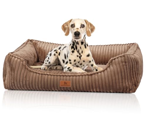 Knuffelwuff orthopädisches Hundebett aus Breitcord Sedona M-L 85 x 63cm Braun | Abnehmbarer Bezug | waschbar | für große, mittelgroße und kleine Hunde Knuffelwuff orthopädisches Hundebett aus Breitcord Sedona M-L 85 x 63cm Braun | Abnehmbarer Bezug | waschbar | für große, mittelgroße und kleine Hunde von Knuffelwuff