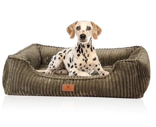 Knuffelwuff orthopädisches Hundebett aus Breitcord Sedona XXL 120 x 85cm Khaki | Abnehmbarer Bezug | waschbar | für große, mittelgroße und kleine Hunde Knuffelwuff orthopädisches Hundebett aus Breitcord Sedona XXL 120 x 85cm Khaki | Abnehmbarer Bezug | waschbar | für große, mittelgroße und kleine Hunde von Knuffelwuff