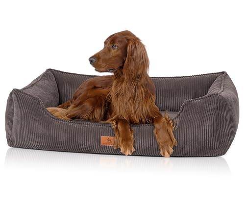 Knuffelwuff orthopädisches Hundebett aus Cord mit Handwebcharakter Nunavut XXL 120 x 85cm Braungrau - Abnehmbarer Bezug - waschbar - für große, mittelgroße und kleine Hunde Knuffelwuff orthopädisches Hundebett aus Cord mit Handwebcharakter Nunavut XXL 120 x 85cm Braungrau - Abnehmbarer Bezug - waschbar - für große, mittelgroße und kleine Hunde von Knuffelwuff