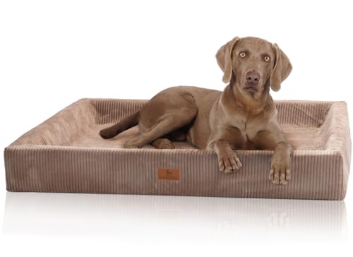 Knuffelwuff orthopädisches Hundebett aus Cord mit Handwebcharakter Santiago S 70 x 50cm Braun - Abnehmbarer Bezug - waschbar - für große, mittelgroße und kleine Hunde von Knuffelwuff