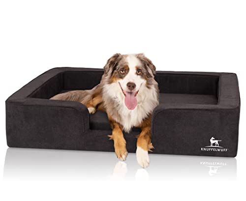 Knuffelwuff orthopädisches Hundebett mit Wendekissen aus Velours Bellamy 120 x 100cm Schwarz - Abnehmbarer Bezug - waschbar - für große, mittelgroße und kleine Hunde Knuffelwuff orthopädisches Hundebett mit Wendekissen aus Velours Bellamy 120 x 100cm Schwarz - Abnehmbarer Bezug - waschbar - für große, mittelgroße und kleine Hunde von Knuffelwuff