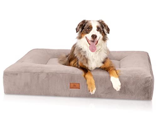 Knuffelwuff orthopädisches Hundebett mit kuschelig weichem Kaninchen Fellimitat Midland 120 x 100cm Grau - Abnehmbarer Bezug - waschbar - Hundekissen für große, mittelgroße und kleine Hunde Knuffelwuff orthopädisches Hundebett mit kuschelig weichem Kaninchen Fellimitat Midland 120 x 100cm Grau - Abnehmbarer Bezug - waschbar - Hundekissen für große, mittelgroße und kleine Hunde von Knuffelwuff