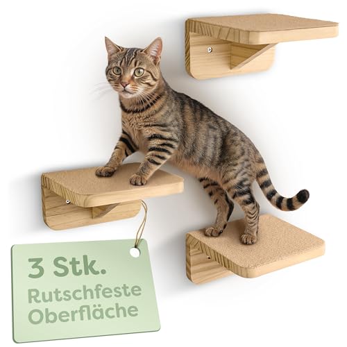 Knupis Katzen Kletterwand 3er Set – FSC® Kiefernholz für Spiel & Abenteuer – Stabile Katzentreppe bis 30 kg mit rutschfestem Vlies – Einfache Montage – Beige von Knupis