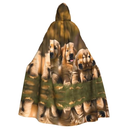 Golden Retriever Umhang mit Kapuze für Hunde, Welpen, Haustiere, Halloween, Mittelalter-Kostüm, Erwachsene, Cosplay, langer Umhang für Damen und Herren Golden Retriever Umhang mit Kapuze für Hunde, Welpen, Haustiere, Halloween, Mittelalter-Kostüm, Erwachsene, Cosplay, langer Umhang für Damen und Herren von KoNsev