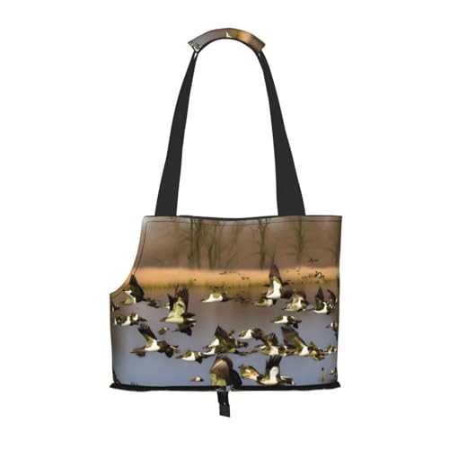 Hundetragetasche für kleine Hunde und Katzen, springsicher, mit großen Taschen, für Reisen im Freien Hundetragetasche für kleine Hunde und Katzen, springsicher, mit großen Taschen, für Reisen im Freien von KoNsev