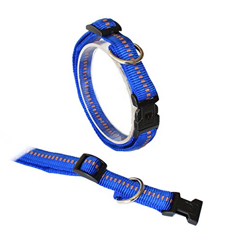 Koch G3302510 Nylon-Halsband gepolstert mit Klickverschluss stufenlos verstellbar, L, royal von Koch
