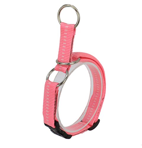 Koch G3322005 Nylon-Zughalsband mit Begrenzung und Klickverschluss gepolstert, S, rosa von Koch