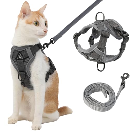 Katzengeschirr und Leine, Grau, Größe XL Katzengeschirr und Leine, Grau, Größe XL von Kodervo