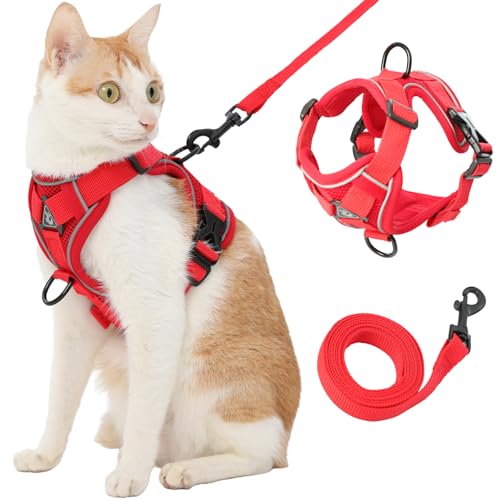 Katzengeschirr und Leine, Rot, Größe M Katzengeschirr und Leine, Rot, Größe M von Kodervo