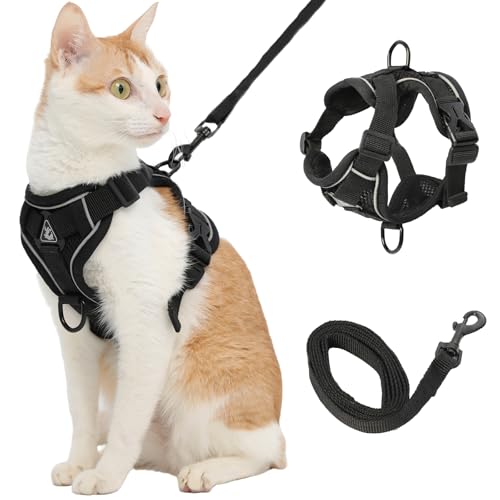 Katzengeschirr und Leine, Schwarz, Größe M von Kodervo