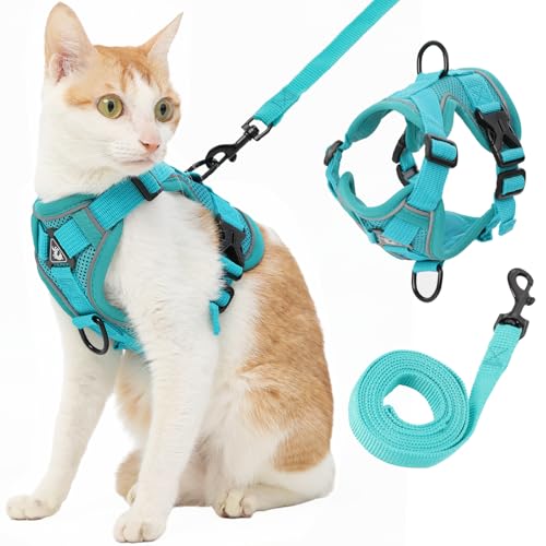 Katzengeschirr und Leine, Türkis, Größe XL Katzengeschirr und Leine, Türkis, Größe XL von Kodervo