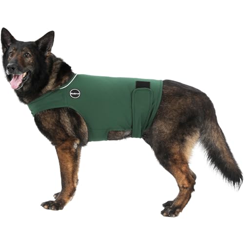 Kodervo Hunde-Angstjacke, hautfreundliches Beruhigungsshirt für Hunde, Hundemantel für Donner, Feuerwerk, Tierarztbesuche und Trennung, hält das Haustier ruhig ohne Medizin und Training, Dunkelgrün Kodervo Hunde-Angstjacke, hautfreundliches Beruhigungsshirt für Hunde, Hundemantel für Donner, Feuerwerk, Tierarztbesuche und Trennung, hält das Haustier ruhig ohne Medizin und Training, Dunkelgrün von Kodervo