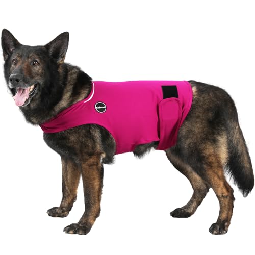 Kodervo Hunde-Angstjacke, hautfreundliches Beruhigungsshirt für Hunde, Hundemantel für Donner, Feuerwerk, Tierarztbesuche und Trennung, hält das Haustier ruhig ohne Medizin und Training, Anti-Angst Kodervo Hunde-Angstjacke, hautfreundliches Beruhigungsshirt für Hunde, Hundemantel für Donner, Feuerwerk, Tierarztbesuche und Trennung, hält das Haustier ruhig ohne Medizin und Training, Anti-Angst von Kodervo