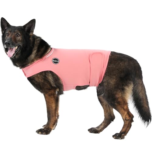 Kodervo Hunde-Angstjacke, hautfreundliches Beruhigungsshirt für Hunde, Hundemantel für Donner, Feuerwerk, Tierarztbesuche und Trennung, hält das Haustier ruhig ohne Medizin und Training, Anti-Angst Kodervo Hunde-Angstjacke, hautfreundliches Beruhigungsshirt für Hunde, Hundemantel für Donner, Feuerwerk, Tierarztbesuche und Trennung, hält das Haustier ruhig ohne Medizin und Training, Anti-Angst von Kodervo