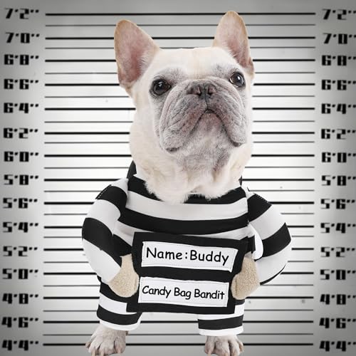 Lustiges Hundegefangenenkostüm, Größe S Lustiges Hundegefangenenkostüm, Größe S von Kodervo