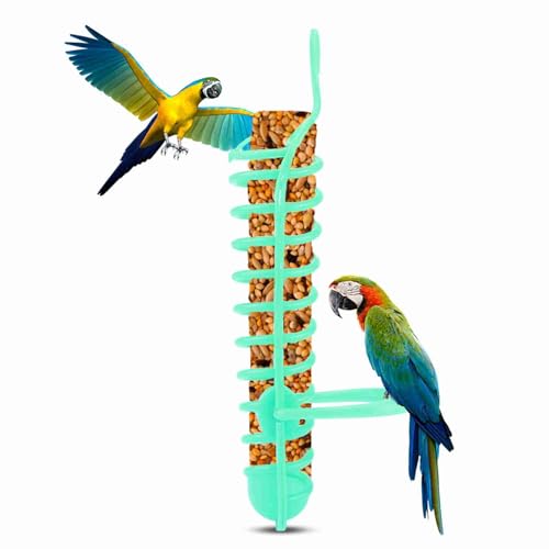 Kodrily Halter für Vogelkäfig, Kunststoff-Sittiche, Leckerli-Halter, 24,9 cm, leichter Vogel-Futterspender mit Sitzstange, Vogelkäfig, Futterhalter für Vögel, 1 Stück, Grün Kodrily Halter für Vogelkäfig, Kunststoff-Sittiche, Leckerli-Halter, 24,9 cm, leichter Vogel-Futterspender mit Sitzstange, Vogelkäfig, Futterhalter für Vögel, 1 Stück, Grün von Kodrily