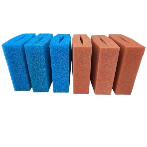 Biotec 10 Ersatzschwamm Sets passend für Oase Teichfilter/ 3 x rote und 3 x Blaue Filterschwämme geschlitzt/Abmessung 25 x 25 x 8 cm/deutsche Qualität/Filterschwamm/Ersatzschwamm Biotec 10 Ersatzschwamm Sets passend für Oase Teichfilter/ 3 x rote und 3 x Blaue Filterschwämme geschlitzt/Abmessung 25 x 25 x 8 cm/deutsche Qualität/Filterschwamm/Ersatzschwamm von Koi- und Bonsaipark Herdecke