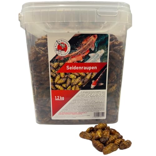 Premium Seidenraupen 1,2 kg- 5 Liter getrocknet gesunder Insektensnack für Schildkröten-Fische-Vögel-Reptilien-Nager (5 Liter) von Koi- und Bonsaipark Herdecke